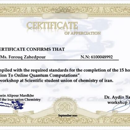 Quantum Computations